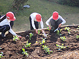 Pc120033