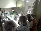 P6050011