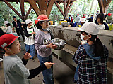 P6030079