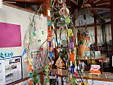 P7070001
