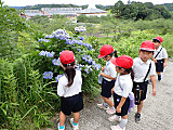 P7090035