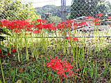 P9140004 P9140004